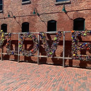 Meet your Posher, Krysha anne